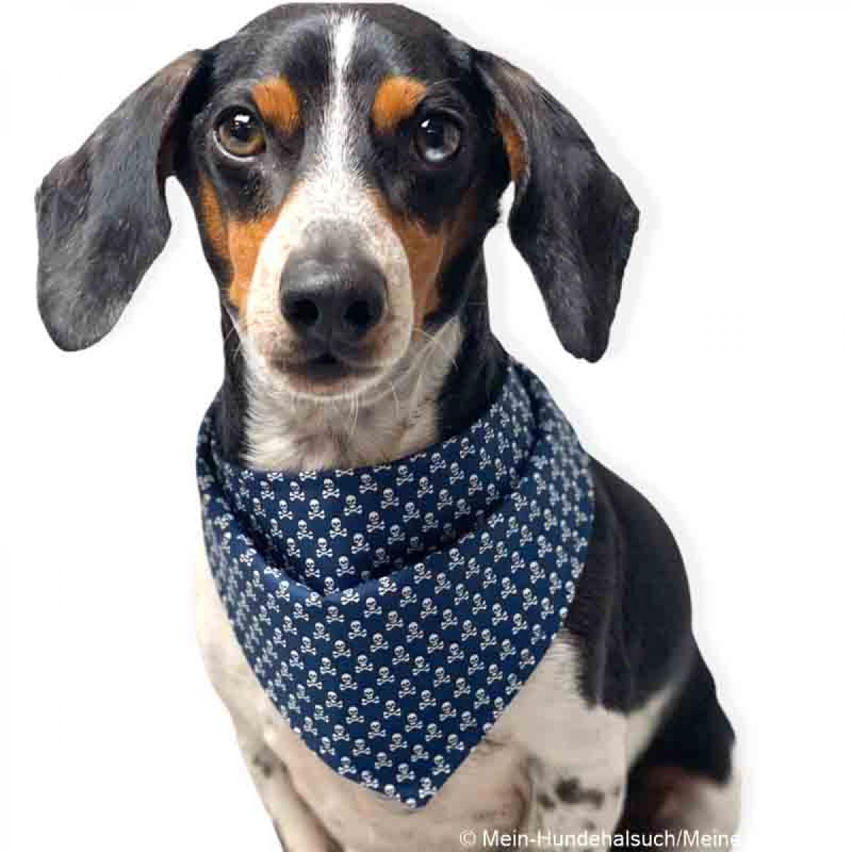 Hundehalstuch dunkelblau mit kleinen weien Totenkpfen Baumwollstoff mit  Wunschbestickung