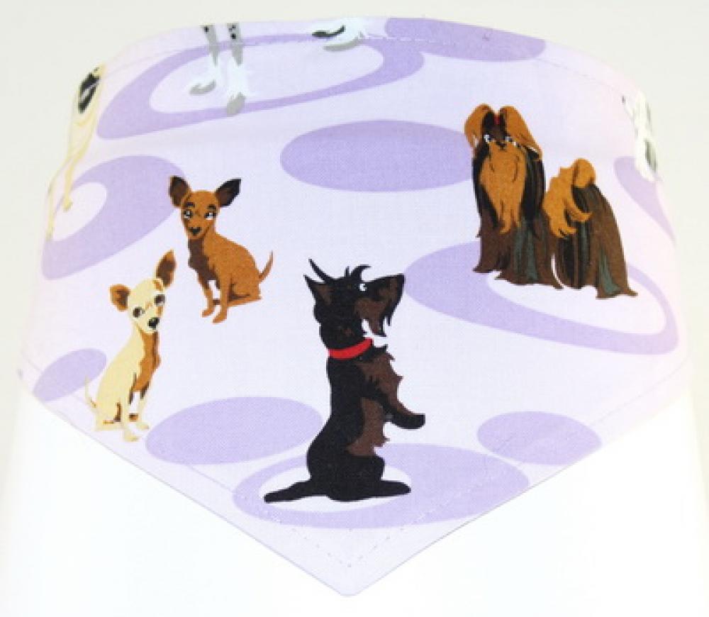 Halstuch für Hunde Mops und andere Hunde auf flieder